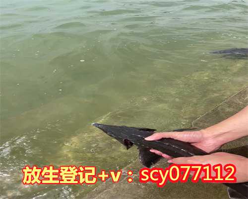 北京哪里能放生红鲤鱼
