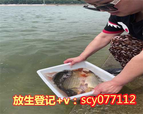 江苏购买放生鱼苗,江苏松花鱼可以在哪里放生,江苏有没有乌龟放生的地方