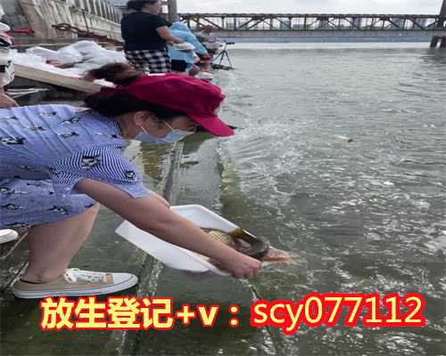 漳州中华草龟放生，漳州水上公园允许放生吗，漳州哪里有放生乌龟的地方