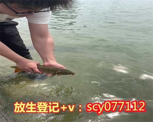 漳州放生法会随喜功德多少钱，漳州哪里有放生鳝鱼的地方呀，漳州放生回向给