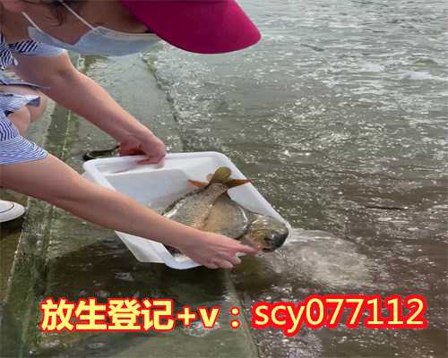 <b>北京巴西龟放生地点有</b>