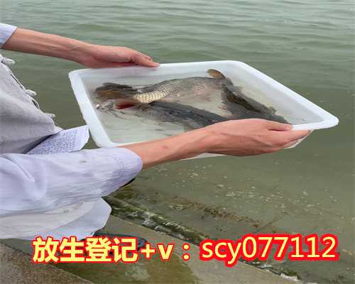 北京哪里可以买鱼放生