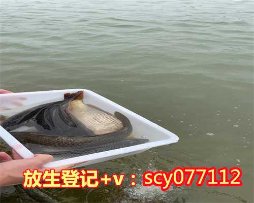 堕胎放生北京,北京市区哪里可以放生鲤鱼【北京放生黑鱼】
