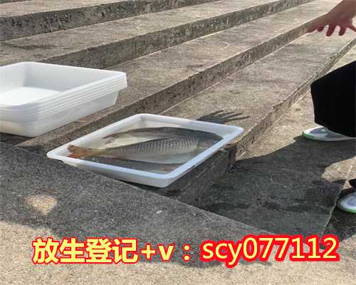 放生蛇的感应北京,北京哪里比较适合放生石螺【北京允许放生的水域】