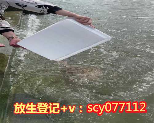 放生泥鳅多少条最吉利，北京团体向路人出售放生用鱼泥鳅80元一条