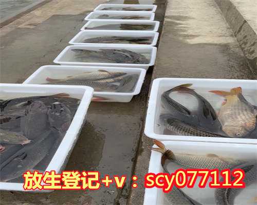 北京男子放生鳝鱼，北京雍和宫神游