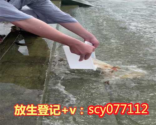 中秋放生法会滁州,滁州公园可以放生河蚌吗【滁州市城阳区放生鱼的地方】